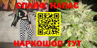 СК Партизанск