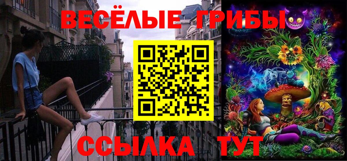 Галлюциногенные грибы GOLDEN TEACHER Серов