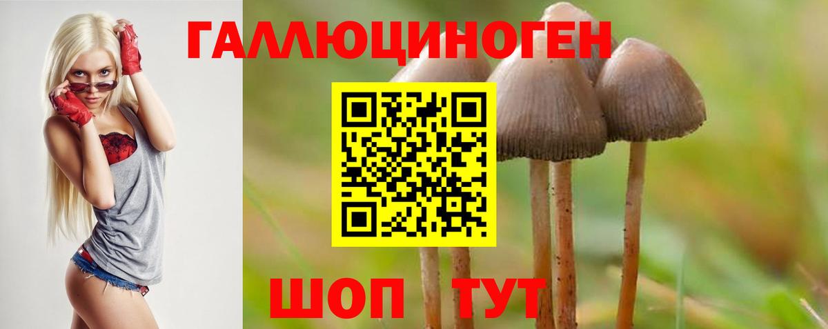 Серов  Галлюциногенные грибы Psilocybine cubensis  купить наркоту  Вход с VPN 